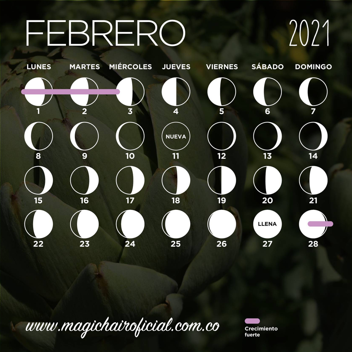 Calendario Lunar De Febrero 2021 Magic Hair Oficial